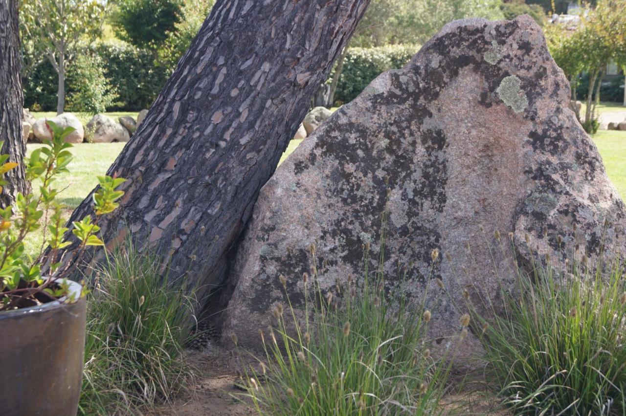 Les Jardins De Santa Giulia - Charmante Chambre D'Hote Porto Vecchio Exterior foto